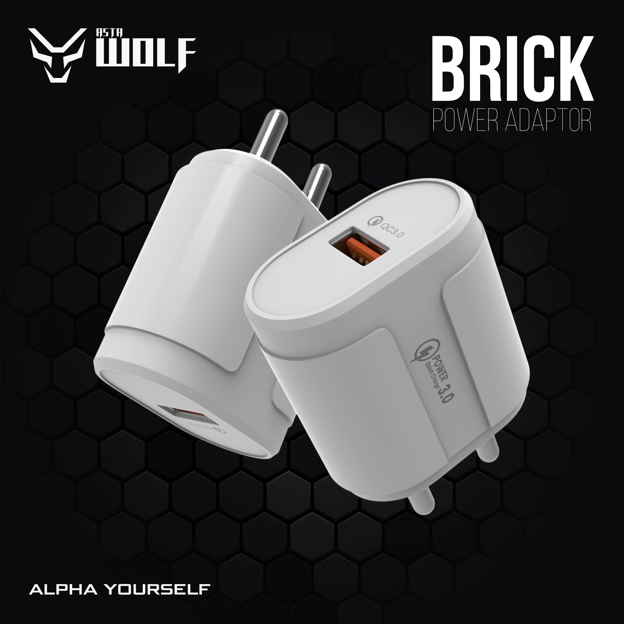 Brick Charging Adapter-Astawolf