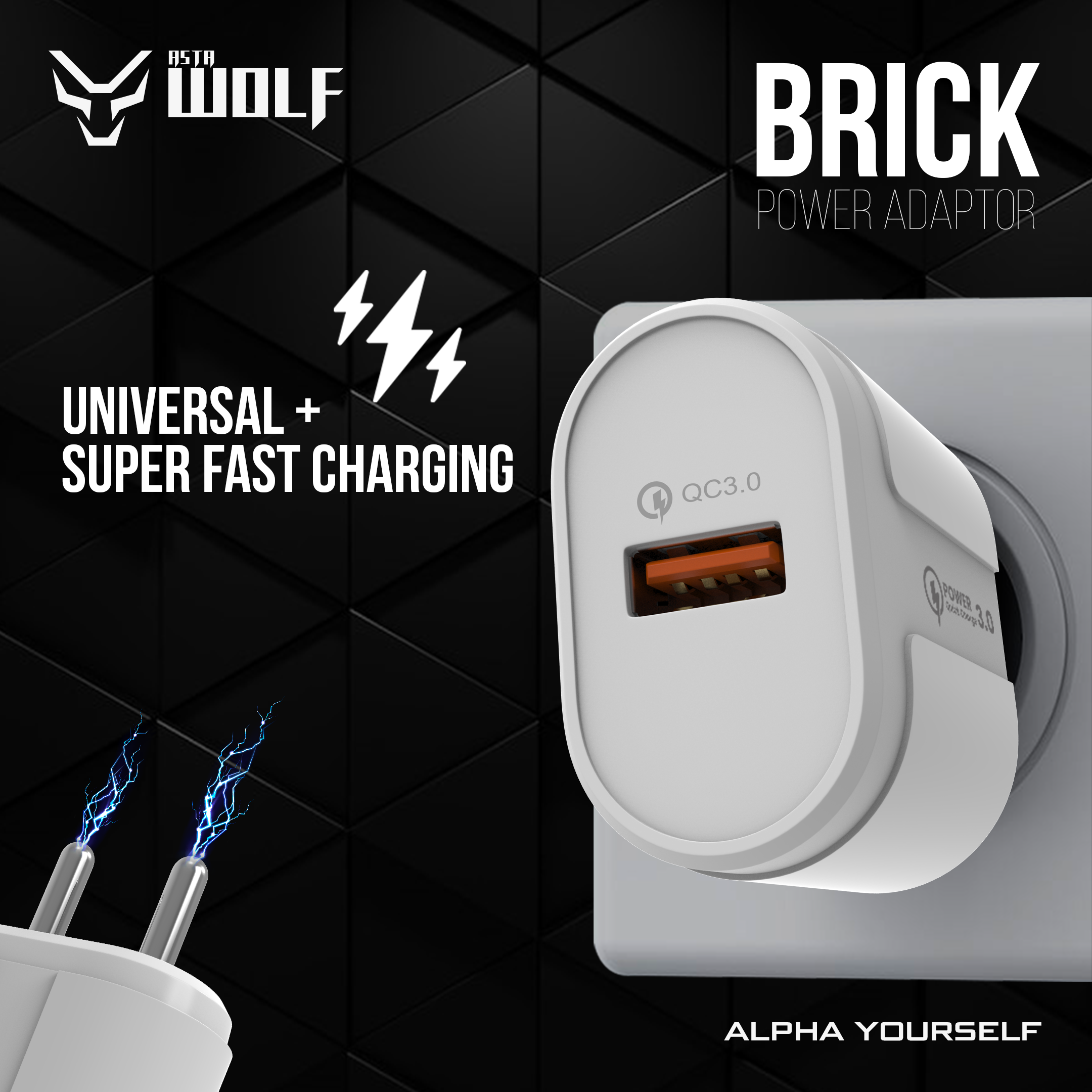 Brick Charging Adapter-Astawolf