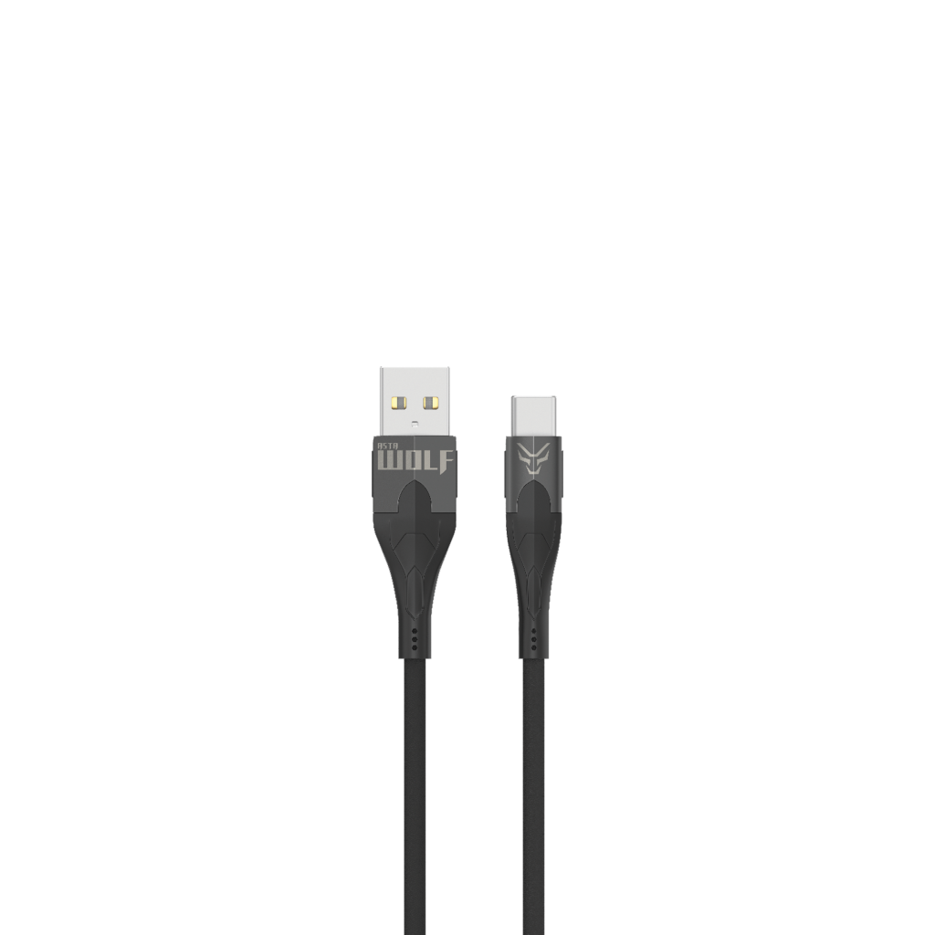 Flash Type - C Data Cable - astawolf